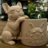 Frenchie Planter