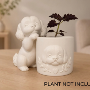 Boston Terrier Succulent Planter