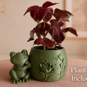 🐸 The Cute Frog Planter