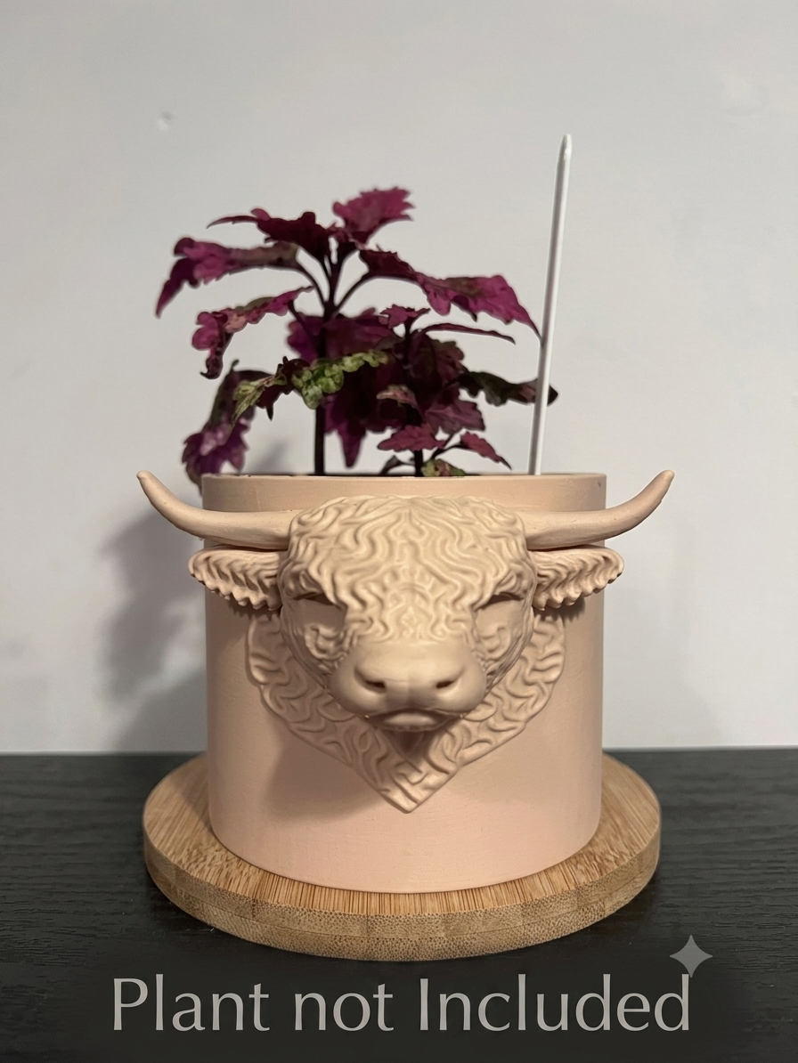 Planter Highland Cow Head