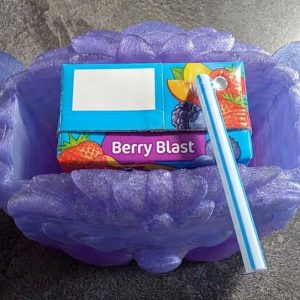 Hedgehog Squeeze-Proof Juice Box Holder